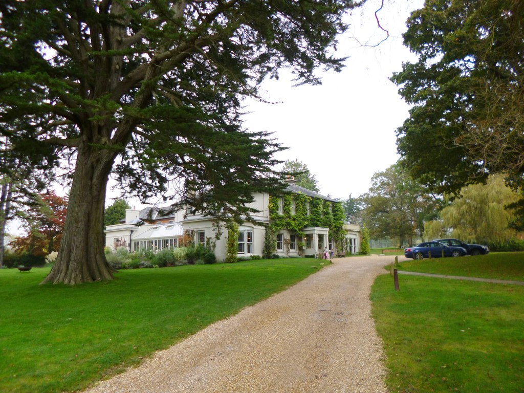 Brockenhurst,_The_Pig_-_geograph.org.uk_-_3192914